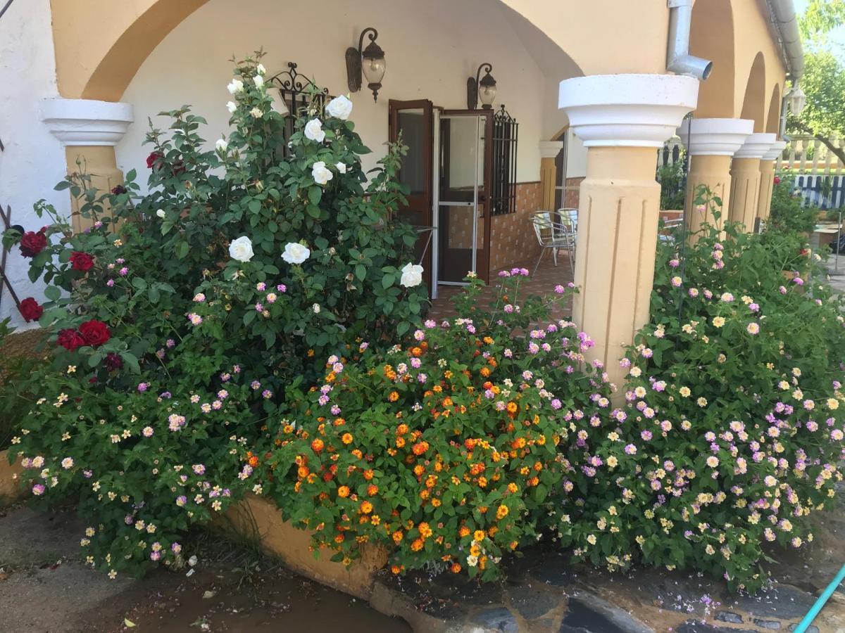 Finca La Rosalia Setenil De Las Bodegas ภายนอก รูปภาพ